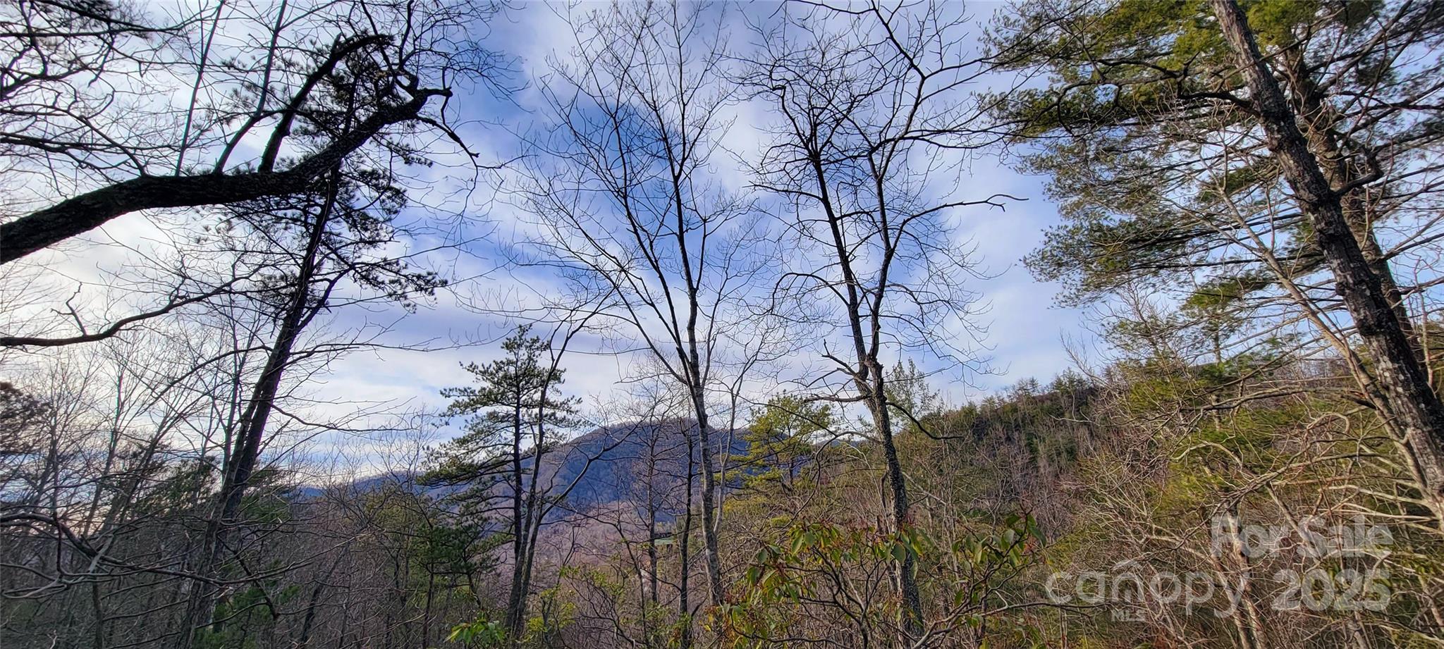 V/l Chickasaw Way Marion NC 28752