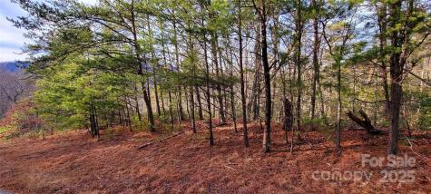 V/l Chickasaw Way Marion NC 28752