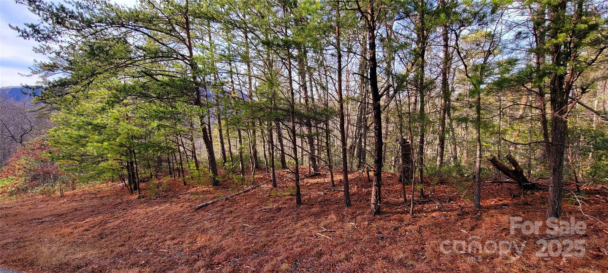 V/l Chickasaw Way Marion NC 28752