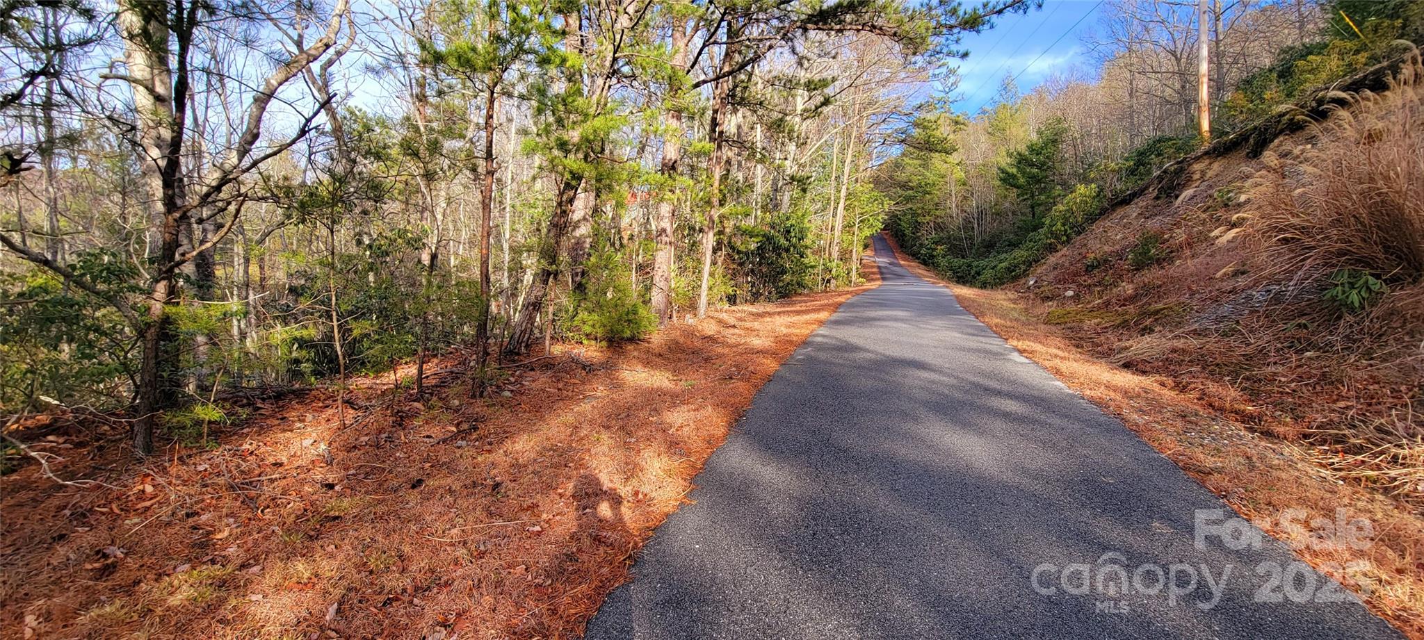 V/l Chickasaw Way Marion NC 28752