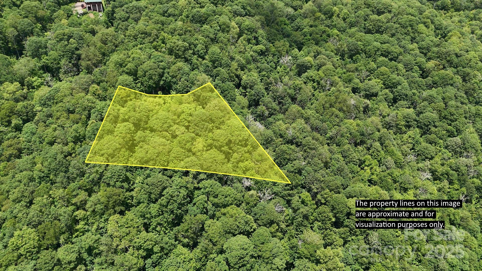 00 Logging Trail Maggie Valley NC 28751
