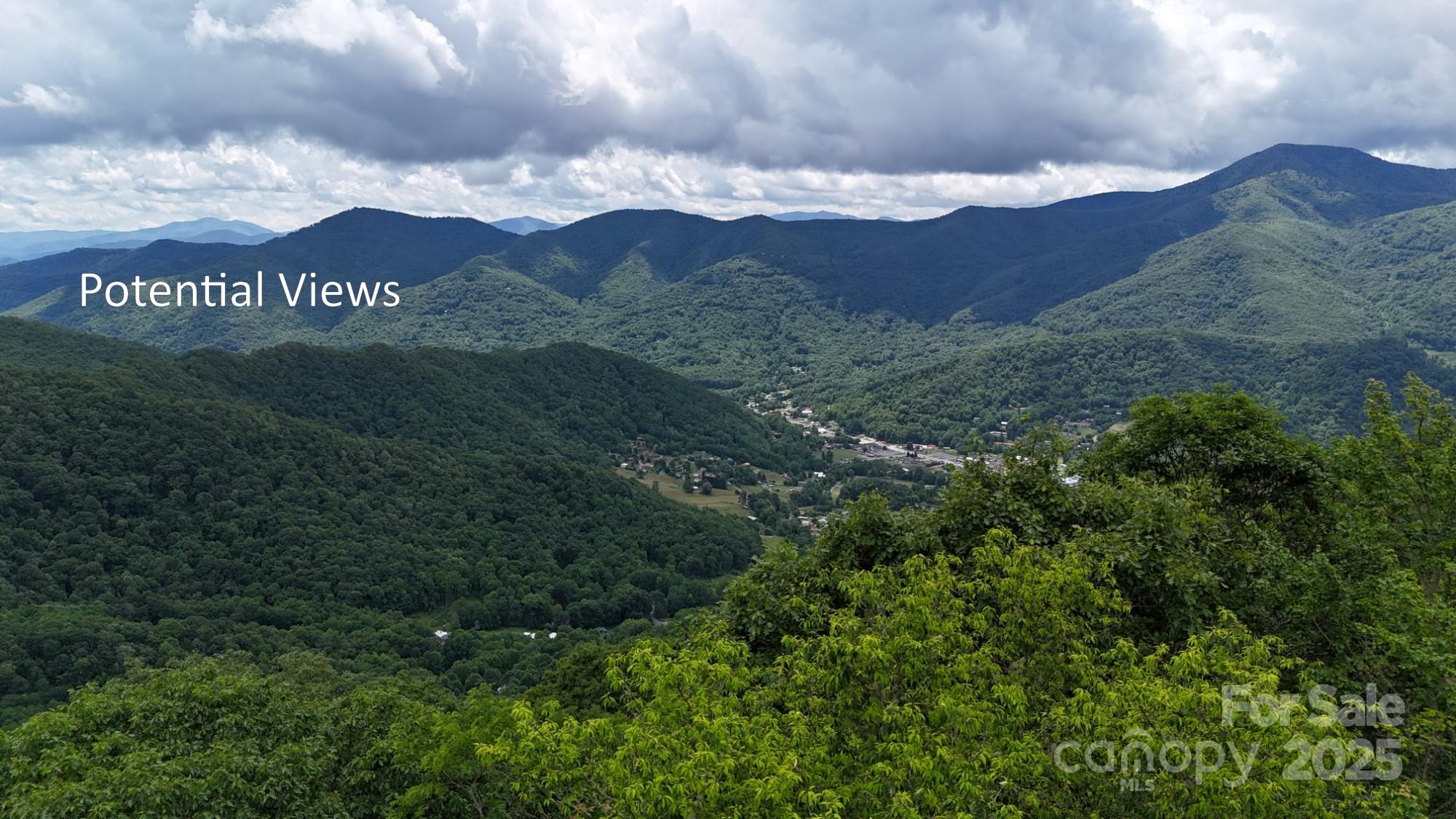00 Logging Trail Maggie Valley NC 28751
