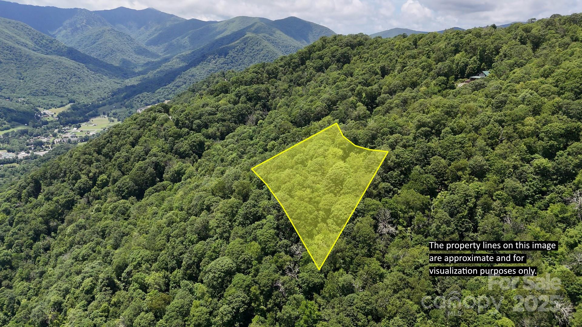 00 Logging Trail Maggie Valley NC 28751