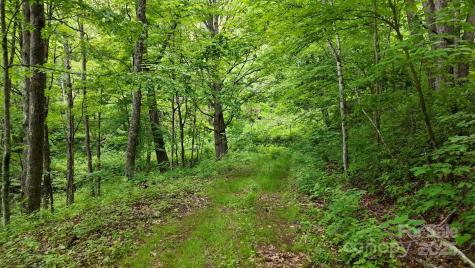 00 Logging Trail Maggie Valley NC 28751