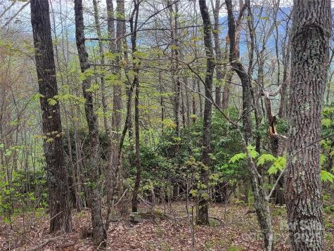 00 Logging Trail Maggie Valley NC 28751