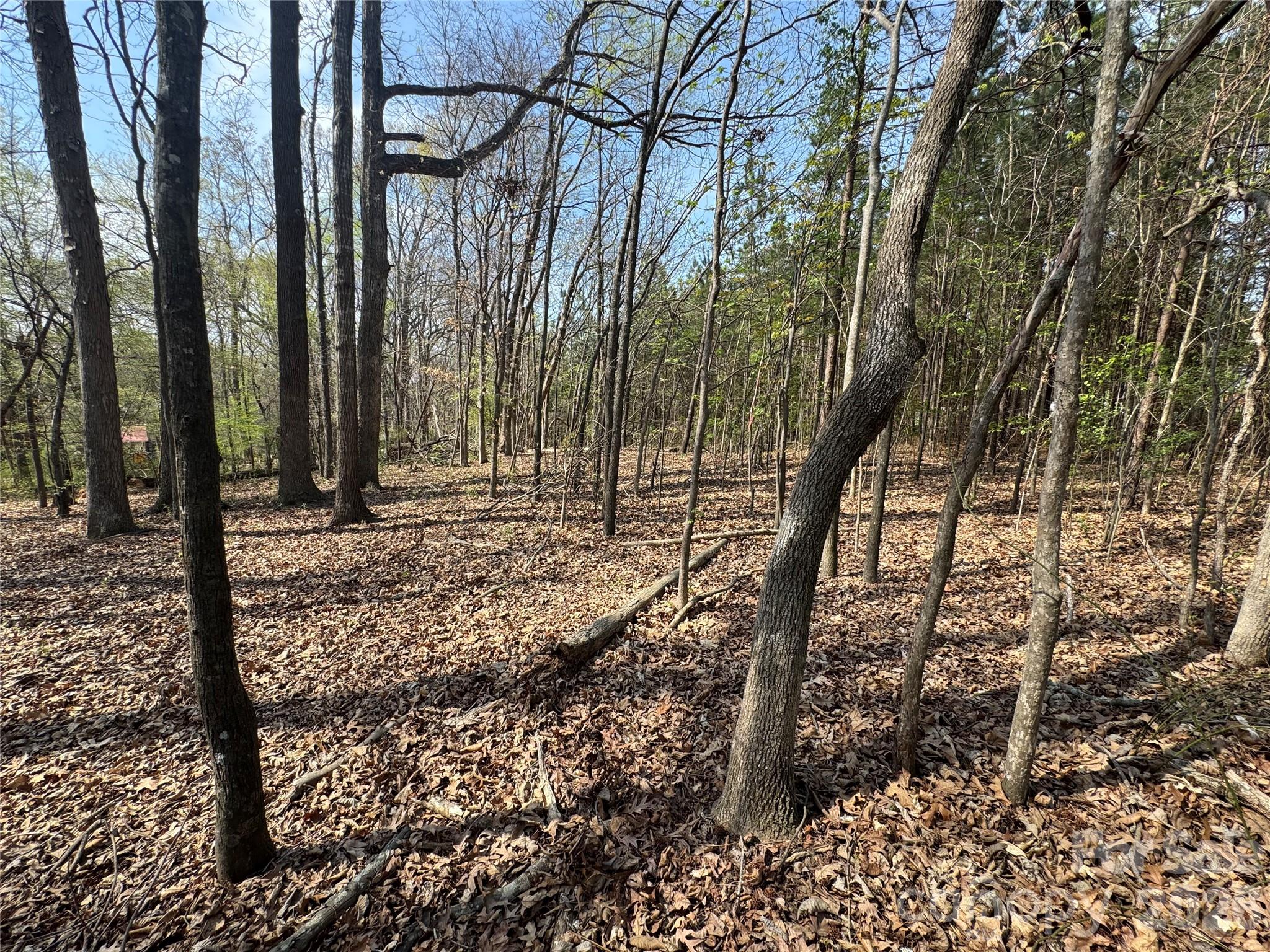 2228 Sam Newell Road Matthews NC 28105
