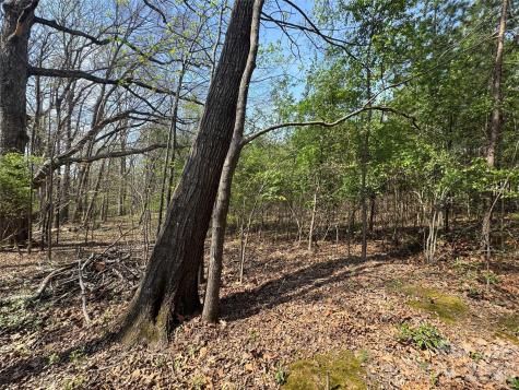 2228 Sam Newell Road Matthews NC 28105