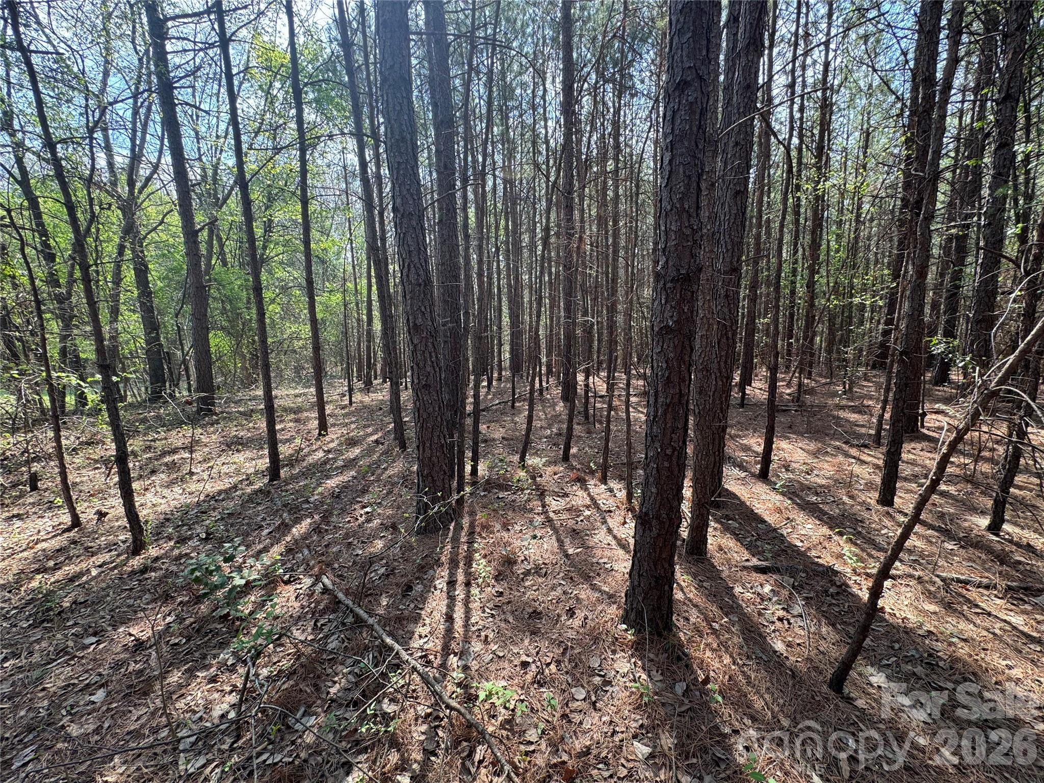 2228 Sam Newell Road Matthews NC 28105
