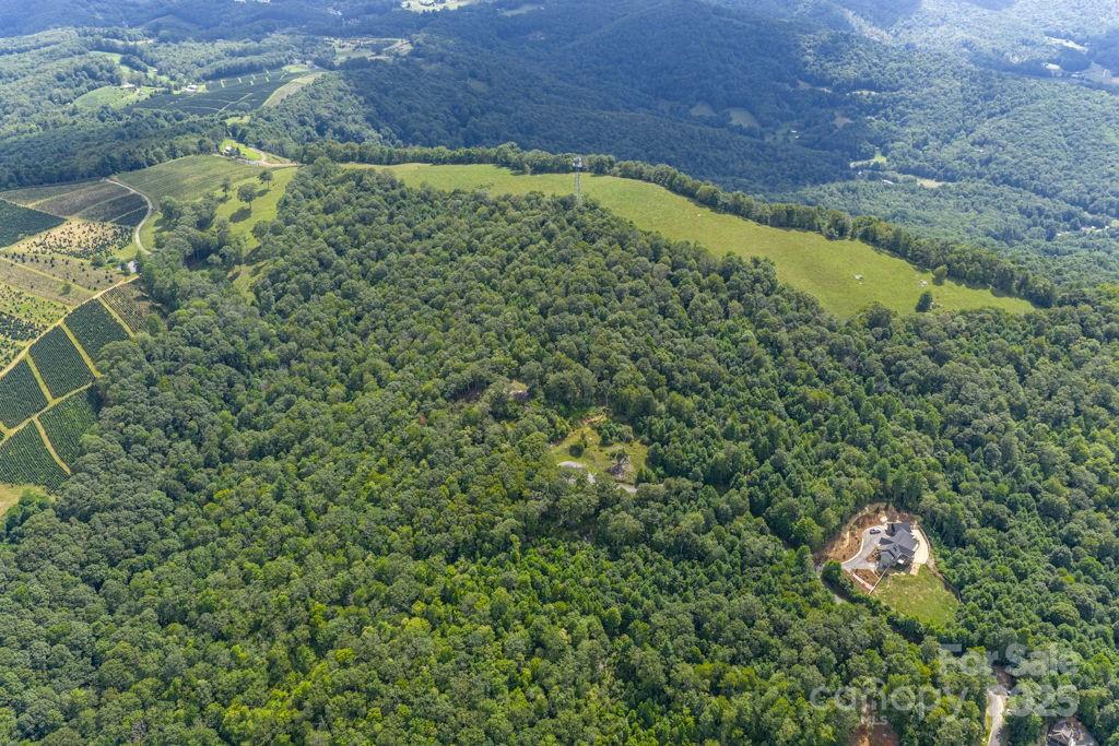 1264 Mountain Laurel Parkway Newland NC 28657