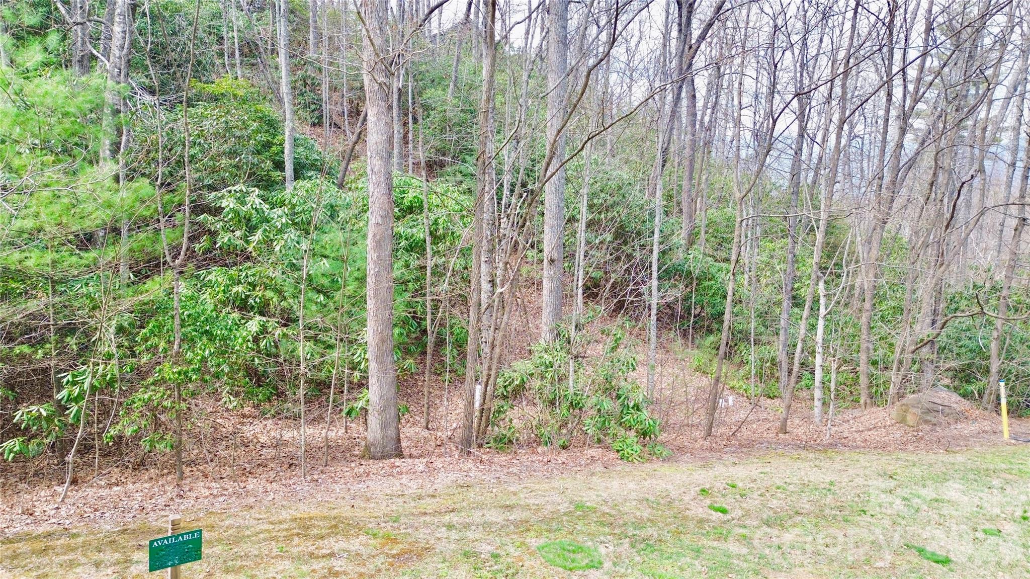 21 Settings Boulevard Black Mountain NC 28711