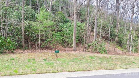 21 Settings Boulevard Black Mountain NC 28711