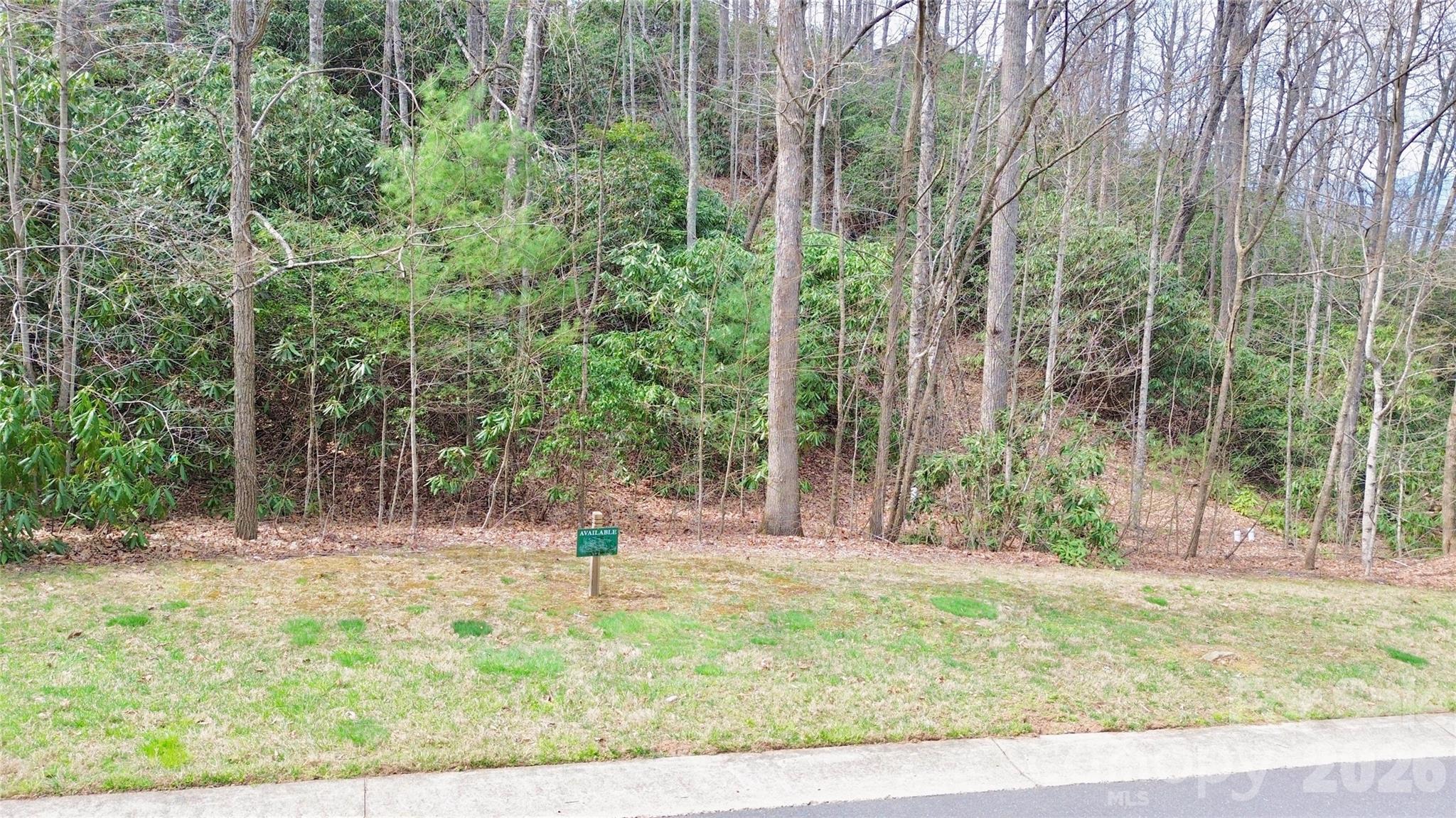 21 Settings Boulevard Black Mountain NC 28711