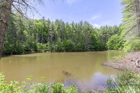 9999 River Edge Drive Burnsville NC 28714