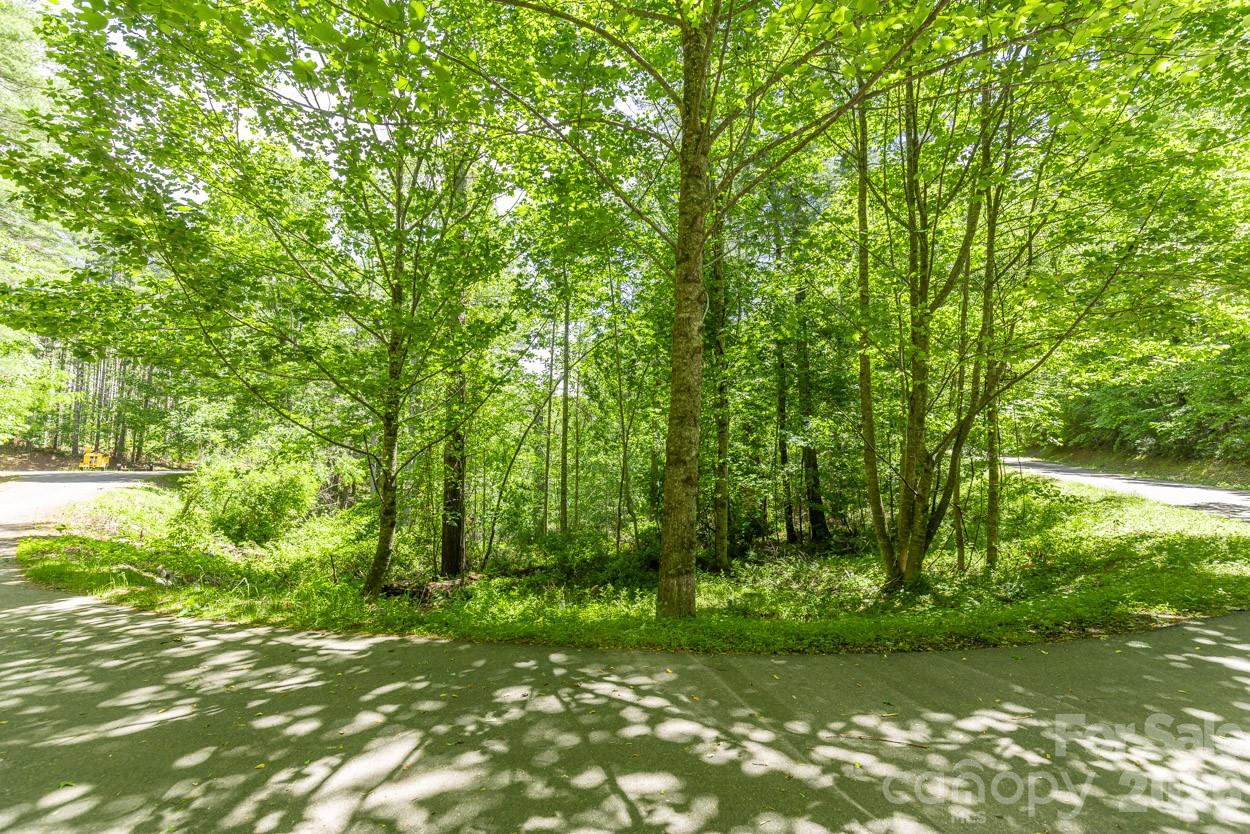 9999 River Edge Drive Burnsville NC 28714