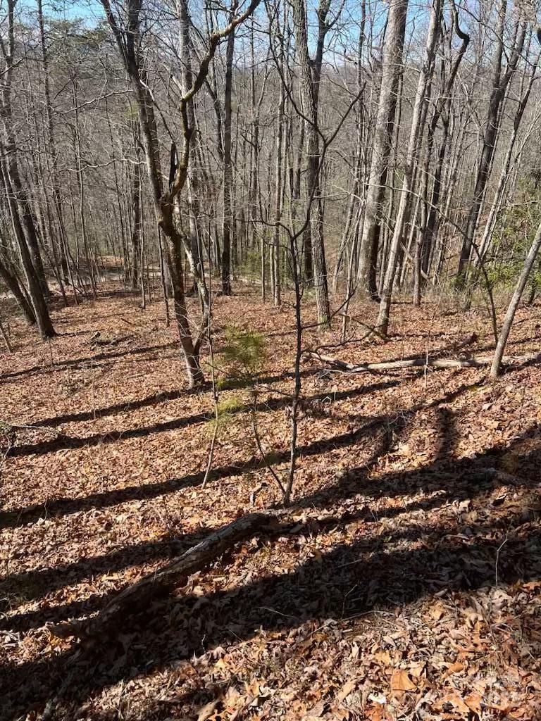 00 Timberland Trail Franklin NC 28734