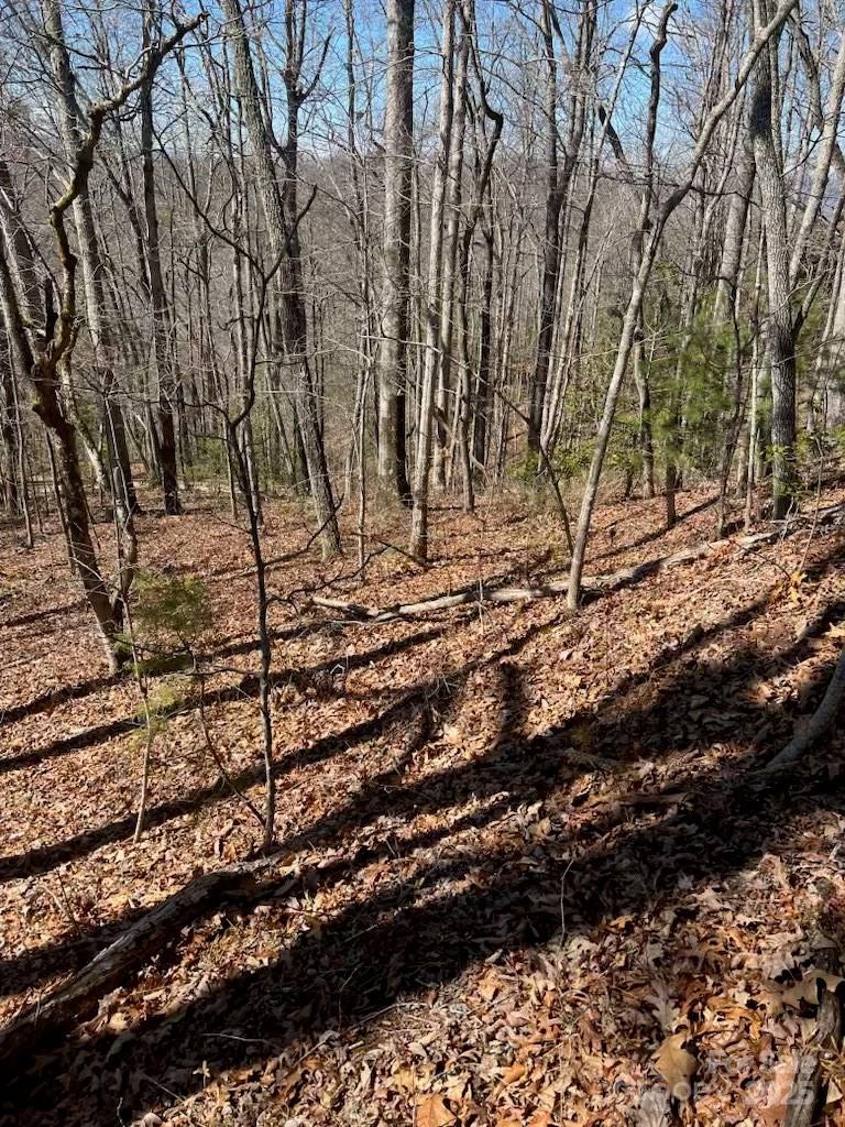 00 Timberland Trail Franklin NC 28734