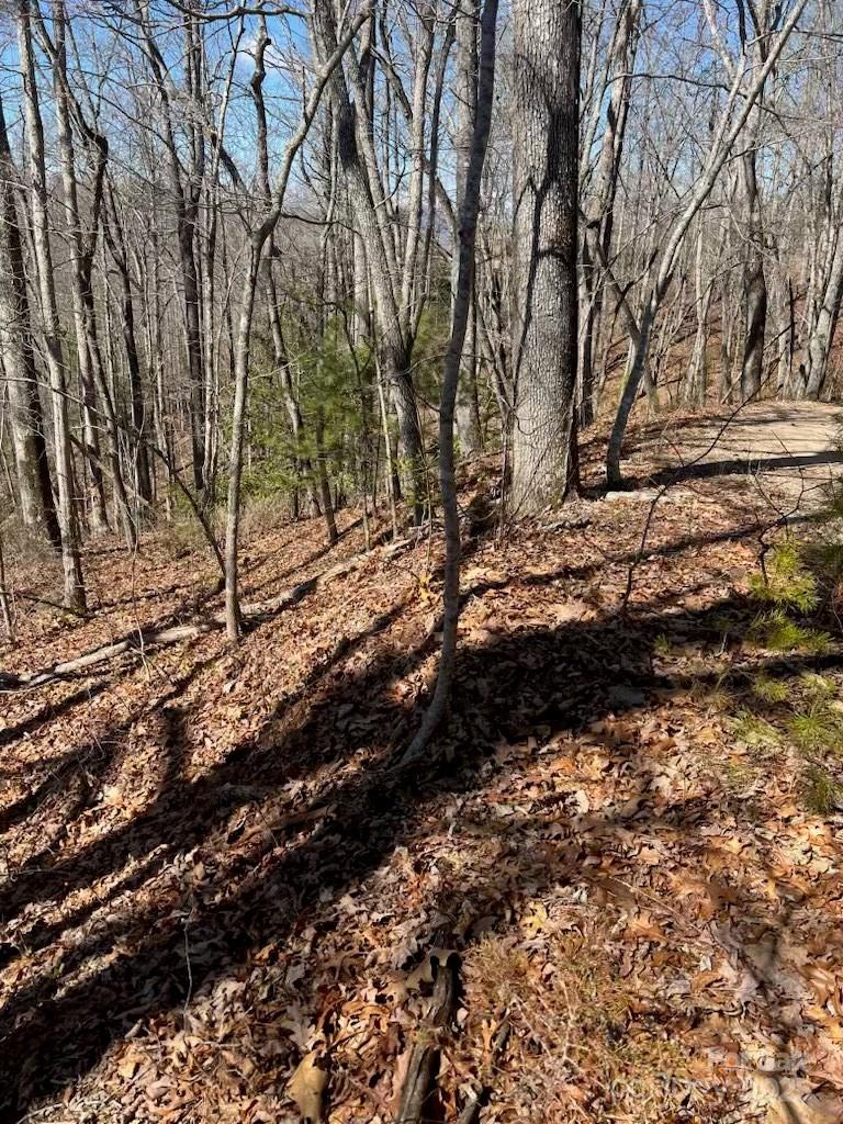 00 Timberland Trail Franklin NC 28734