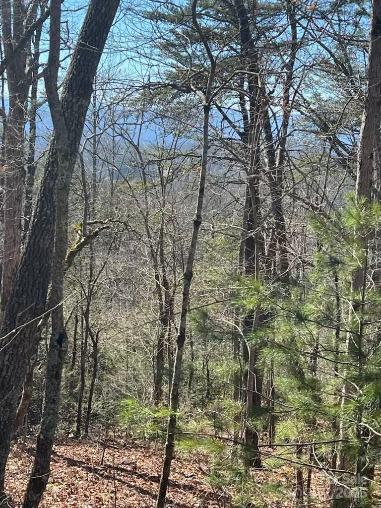 00 Timberland Trail Franklin NC 28734