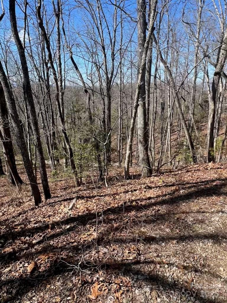 00 Timberland Trail Franklin NC 28734
