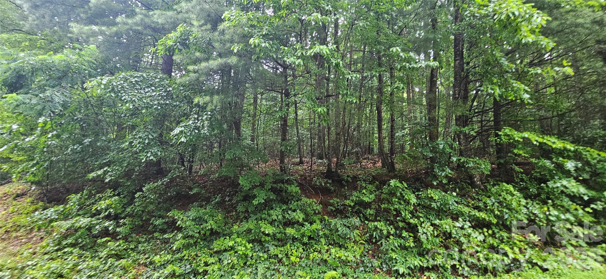 0 Old Ccc Road Hendersonville NC 28739
