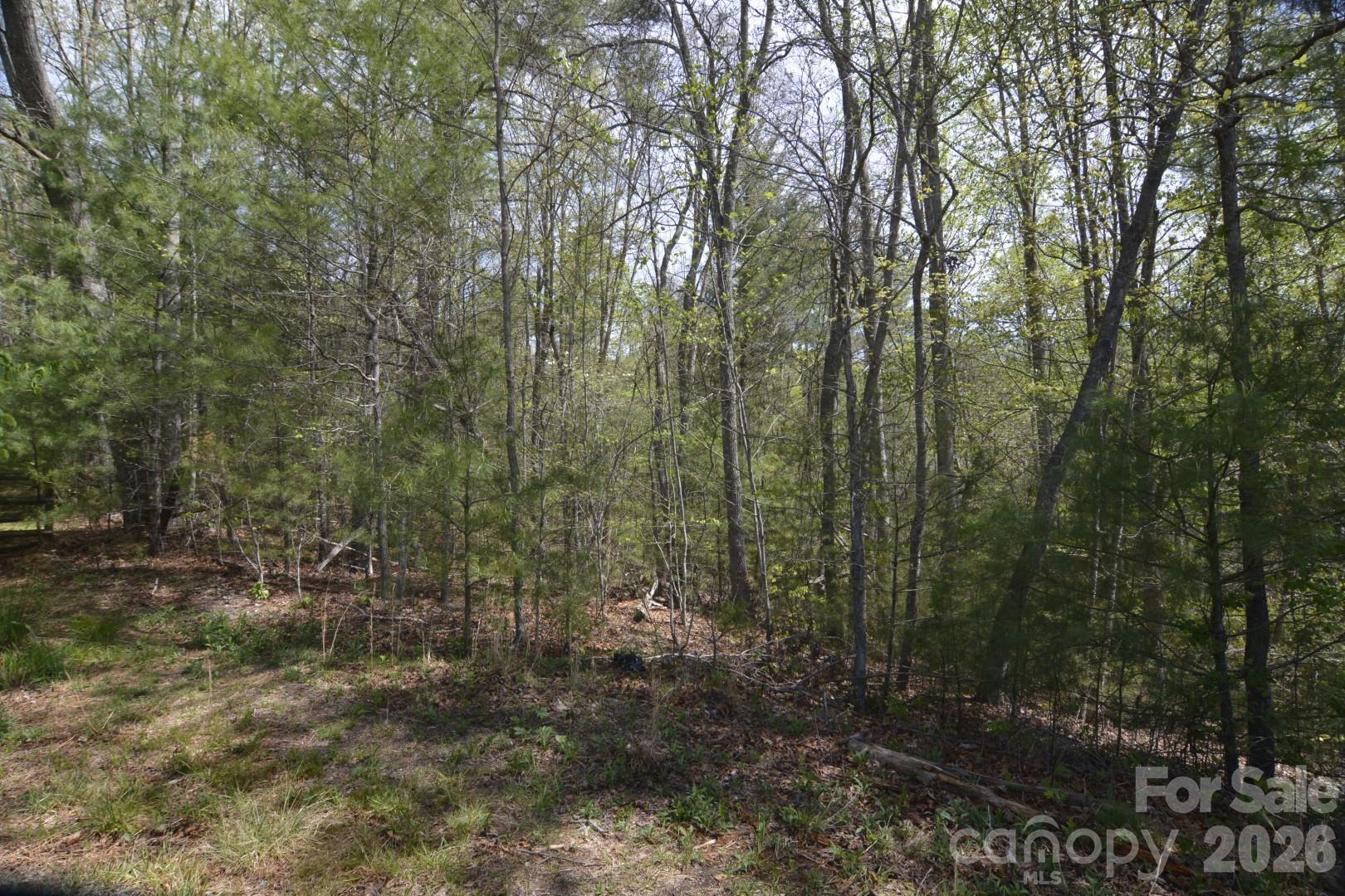 00 Garnet Drive Leicester NC 28748