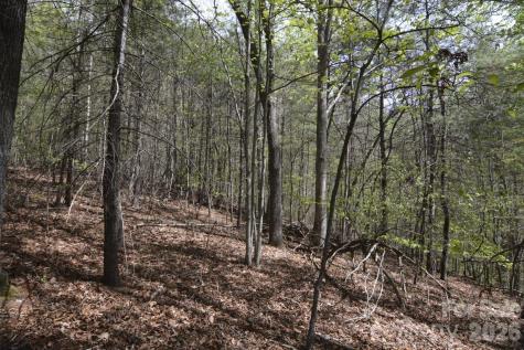 00 Garnet Drive Leicester NC 28748