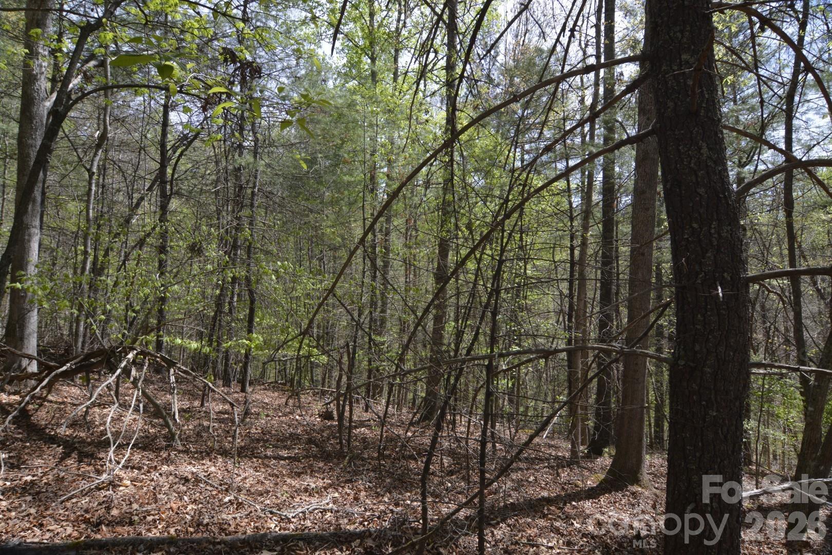 00 Garnet Drive Leicester NC 28748