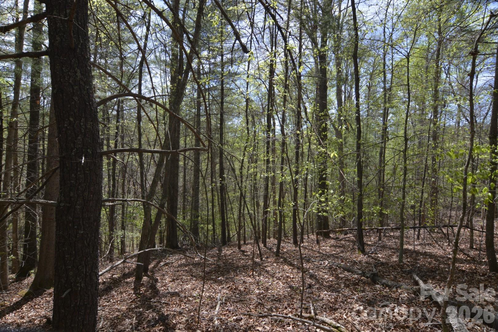00 Garnet Drive Leicester NC 28748
