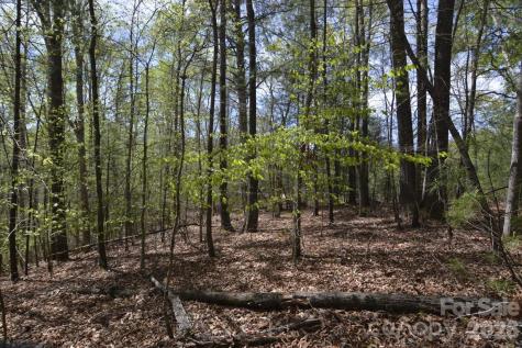 00 Garnet Drive Leicester NC 28748