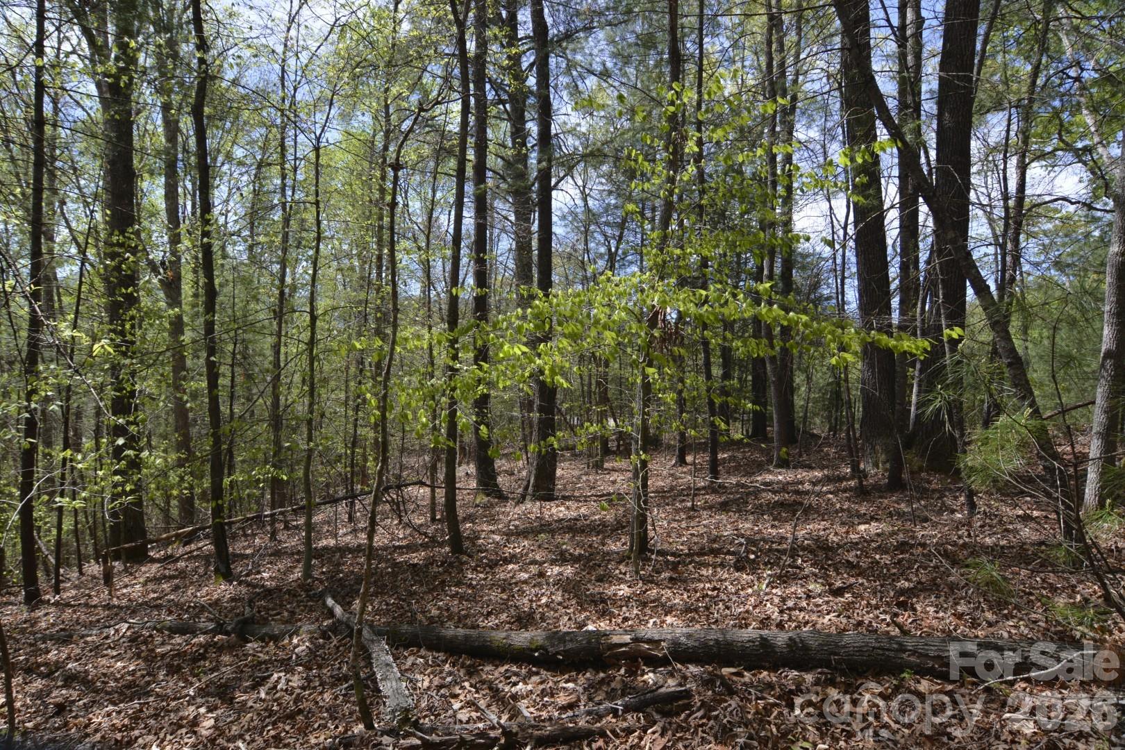 00 Garnet Drive Leicester NC 28748