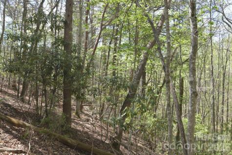 00 Garnet Drive Leicester NC 28748