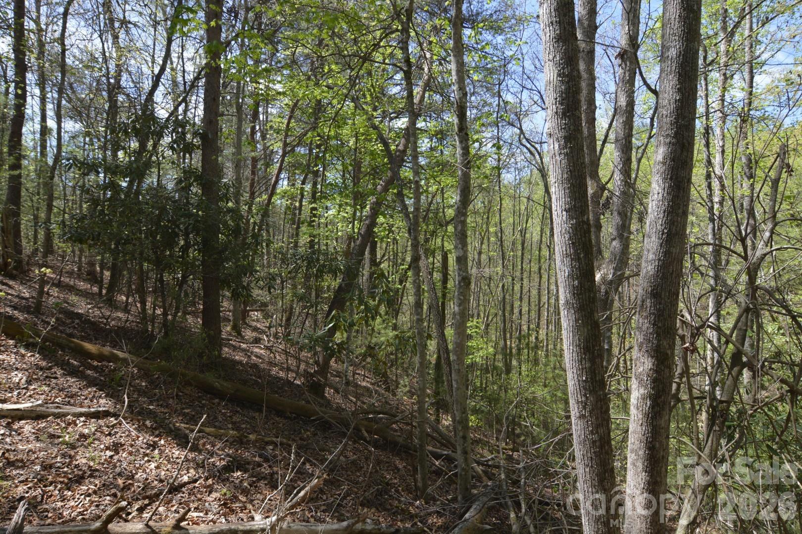 00 Garnet Drive Leicester NC 28748