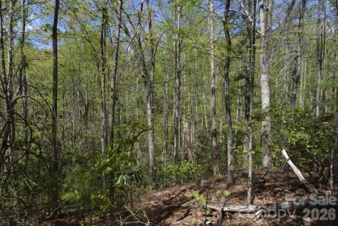 00 Garnet Drive Leicester NC 28748