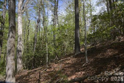 00 Garnet Drive Leicester NC 28748