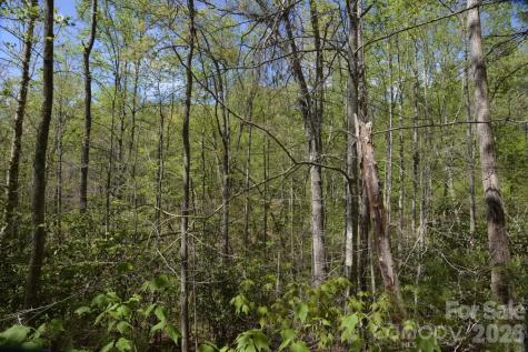 00 Garnet Drive Leicester NC 28748