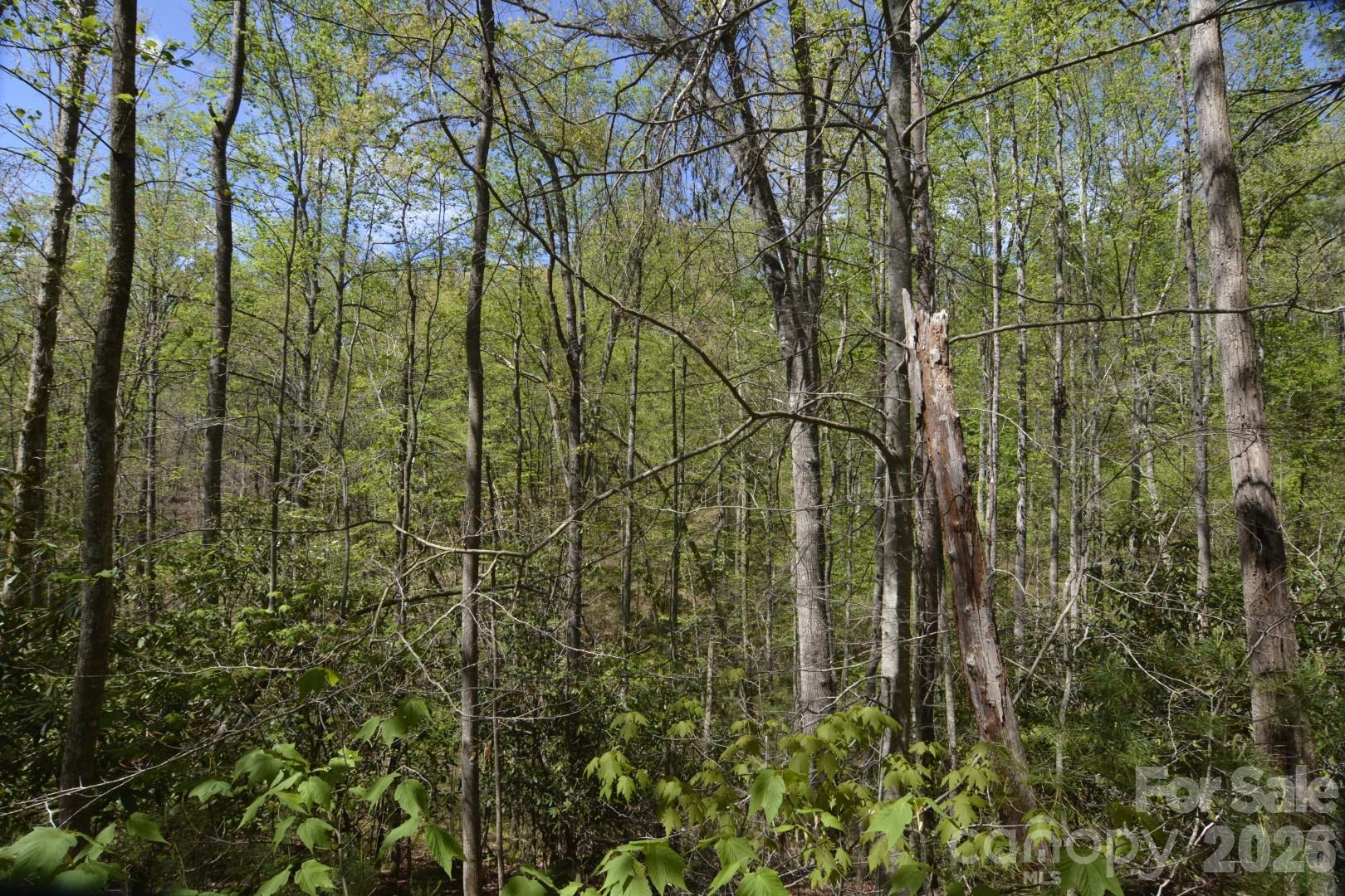 00 Garnet Drive Leicester NC 28748