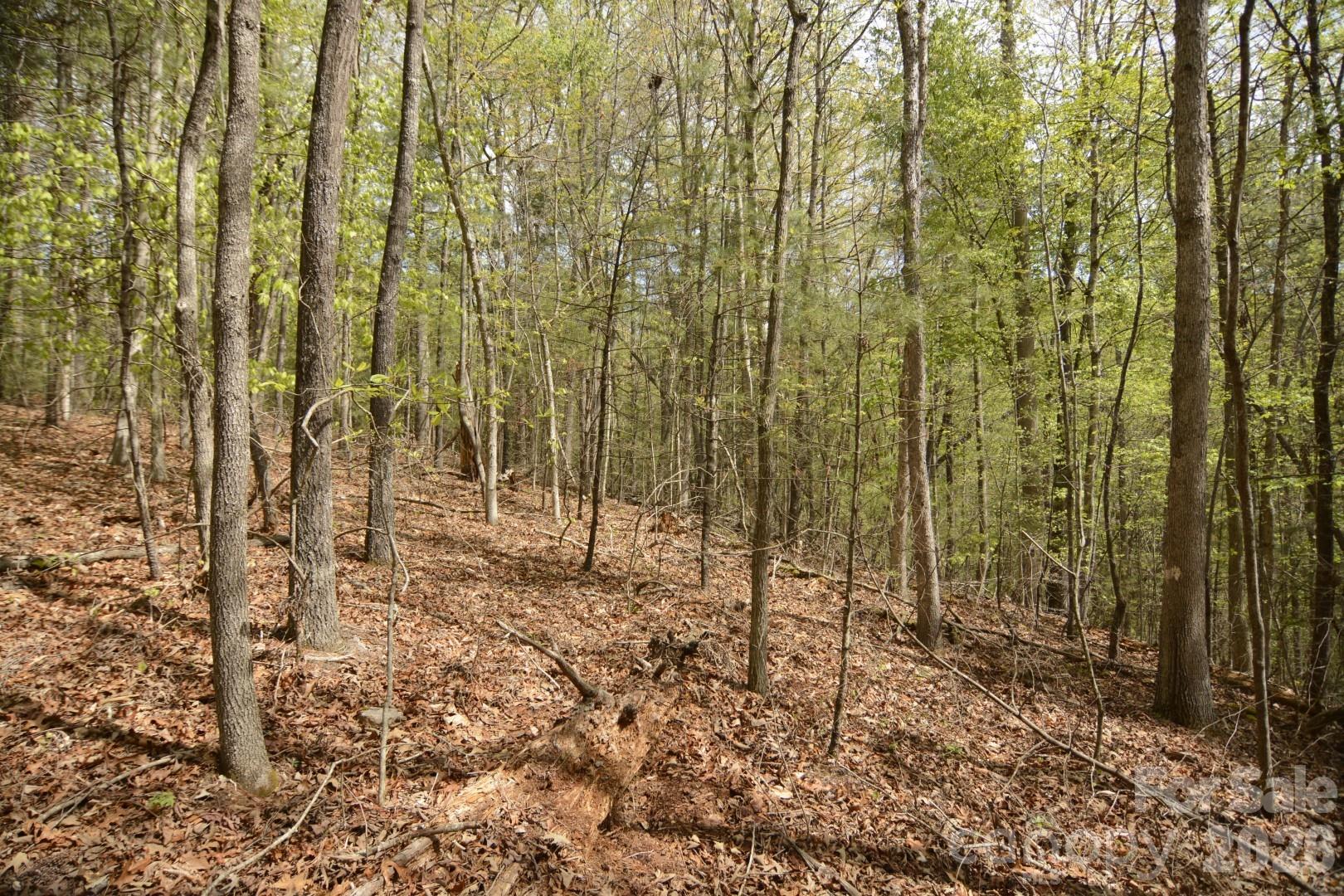 00 Garnet Drive Leicester NC 28748