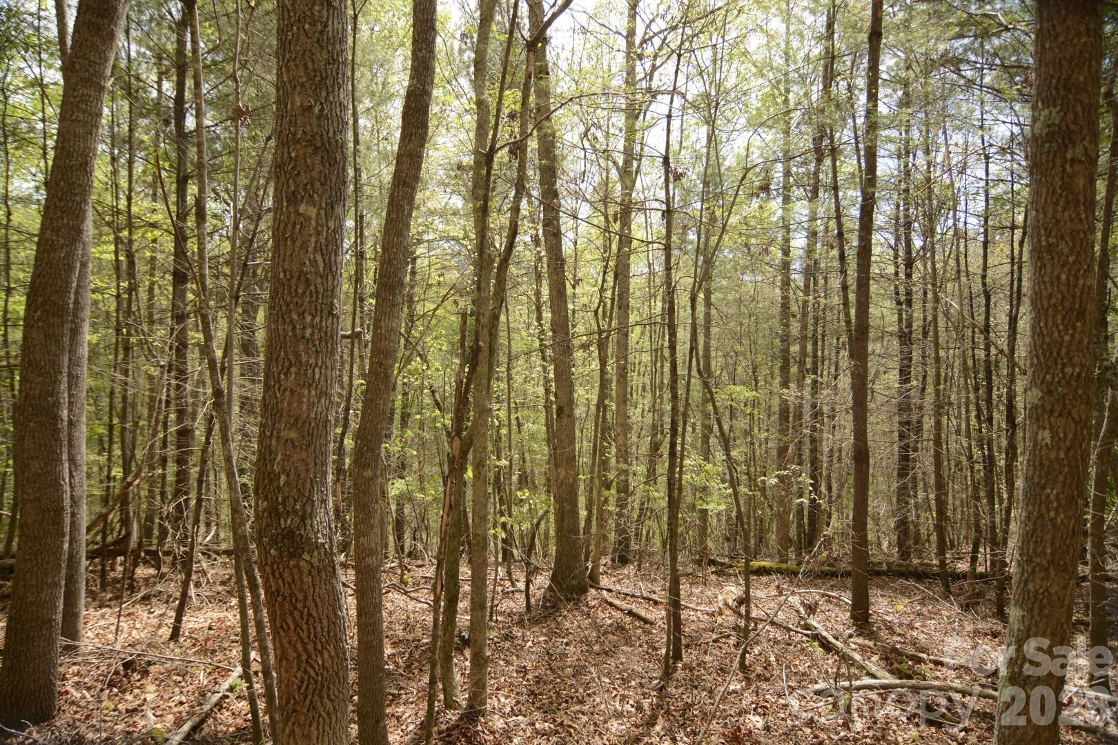 00 Garnet Drive Leicester NC 28748