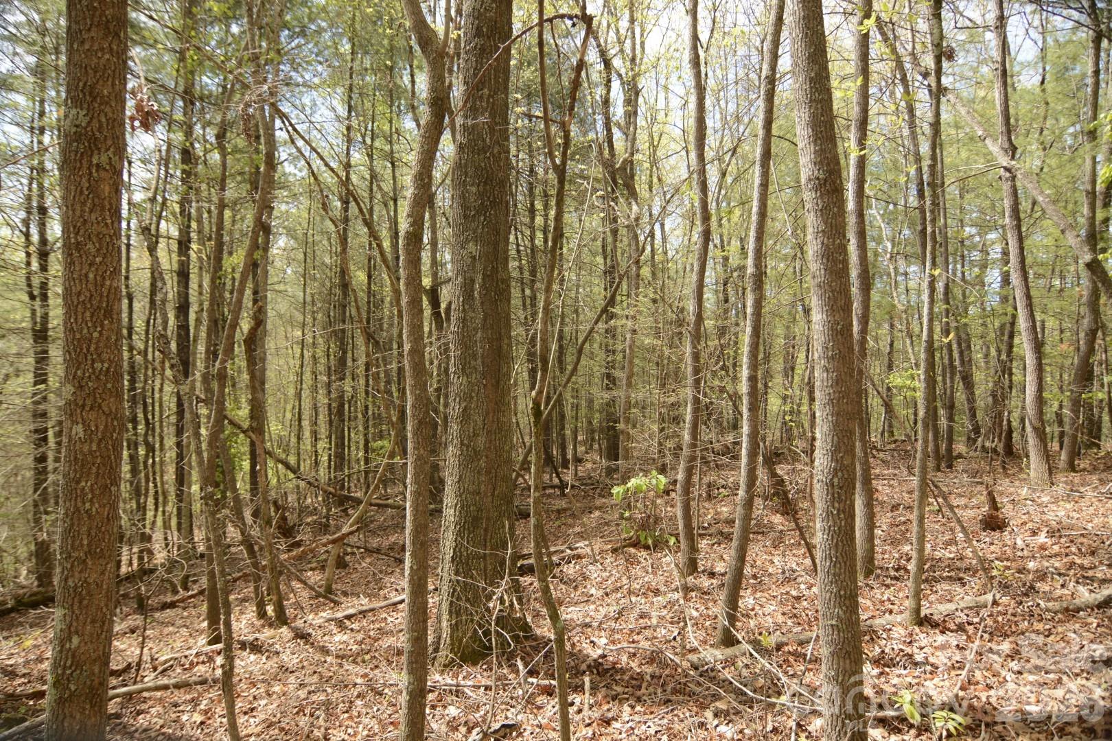 00 Garnet Drive Leicester NC 28748