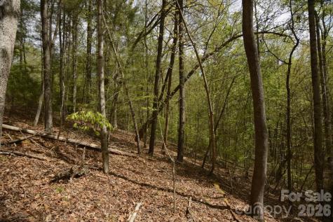 00 Garnet Drive Leicester NC 28748