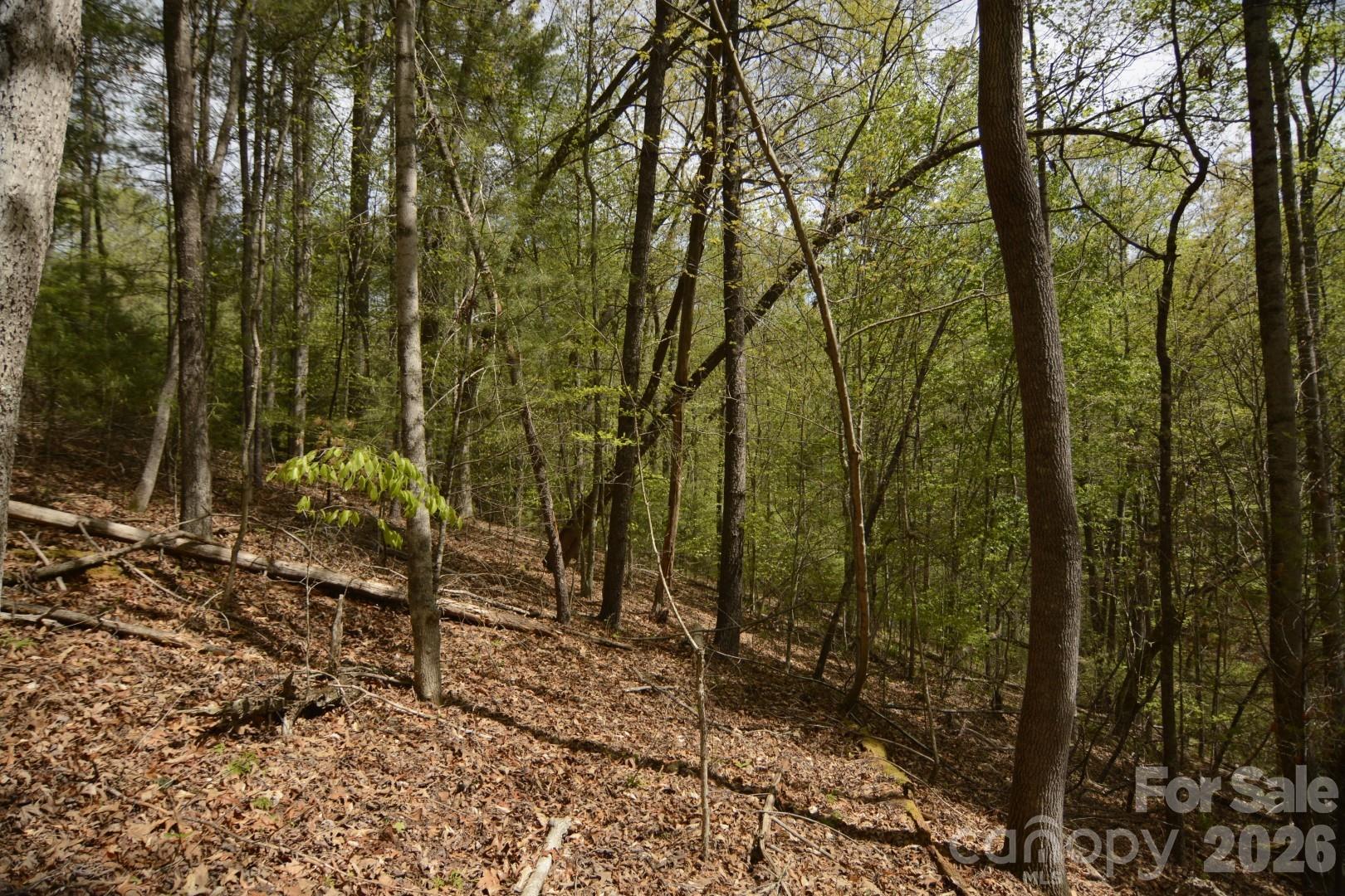 00 Garnet Drive Leicester NC 28748