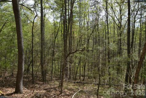 00 Garnet Drive Leicester NC 28748
