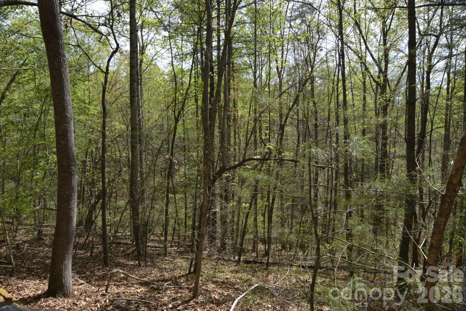 00 Garnet Drive Leicester NC 28748