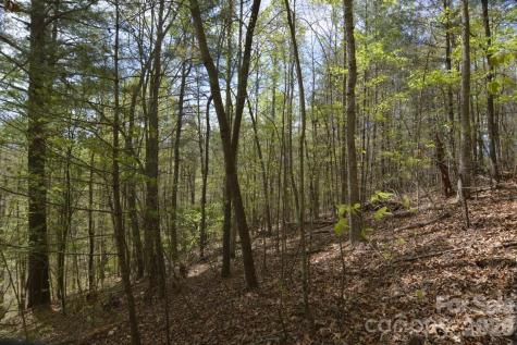 00 Garnet Drive Leicester NC 28748