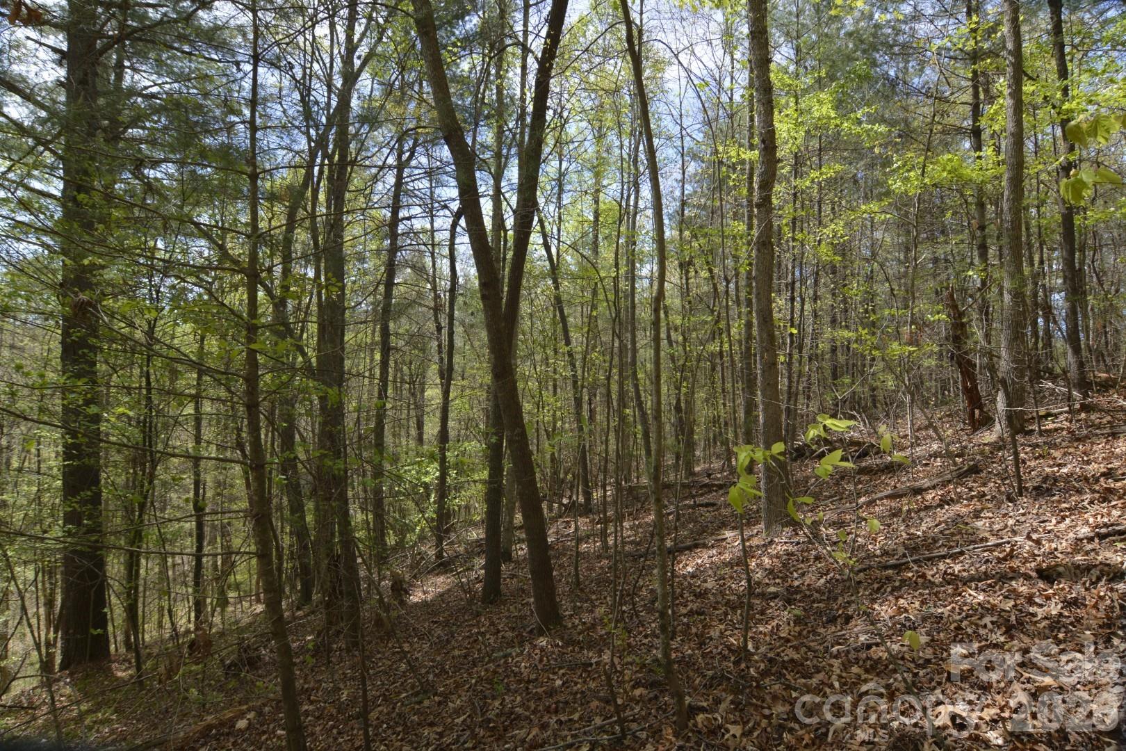 00 Garnet Drive Leicester NC 28748