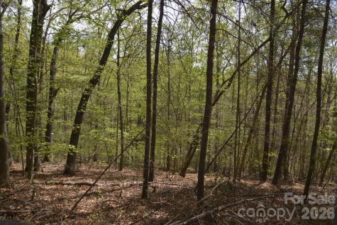 00 Garnet Drive Leicester NC 28748