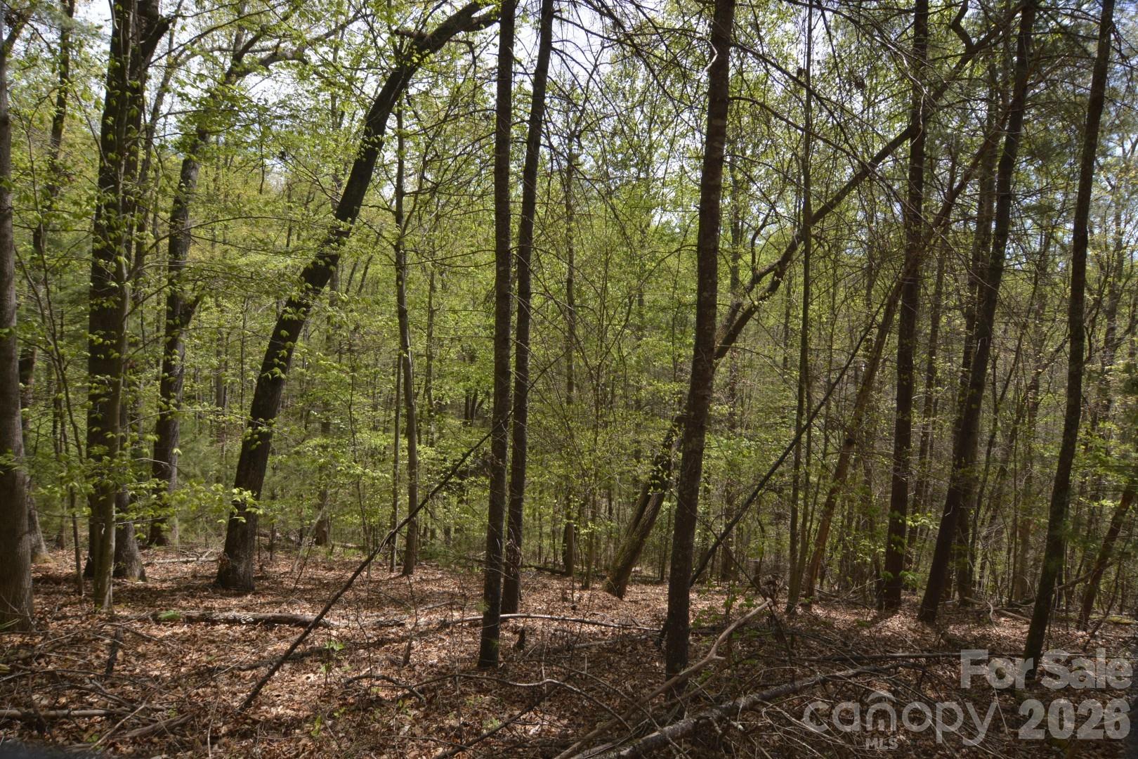 00 Garnet Drive Leicester NC 28748