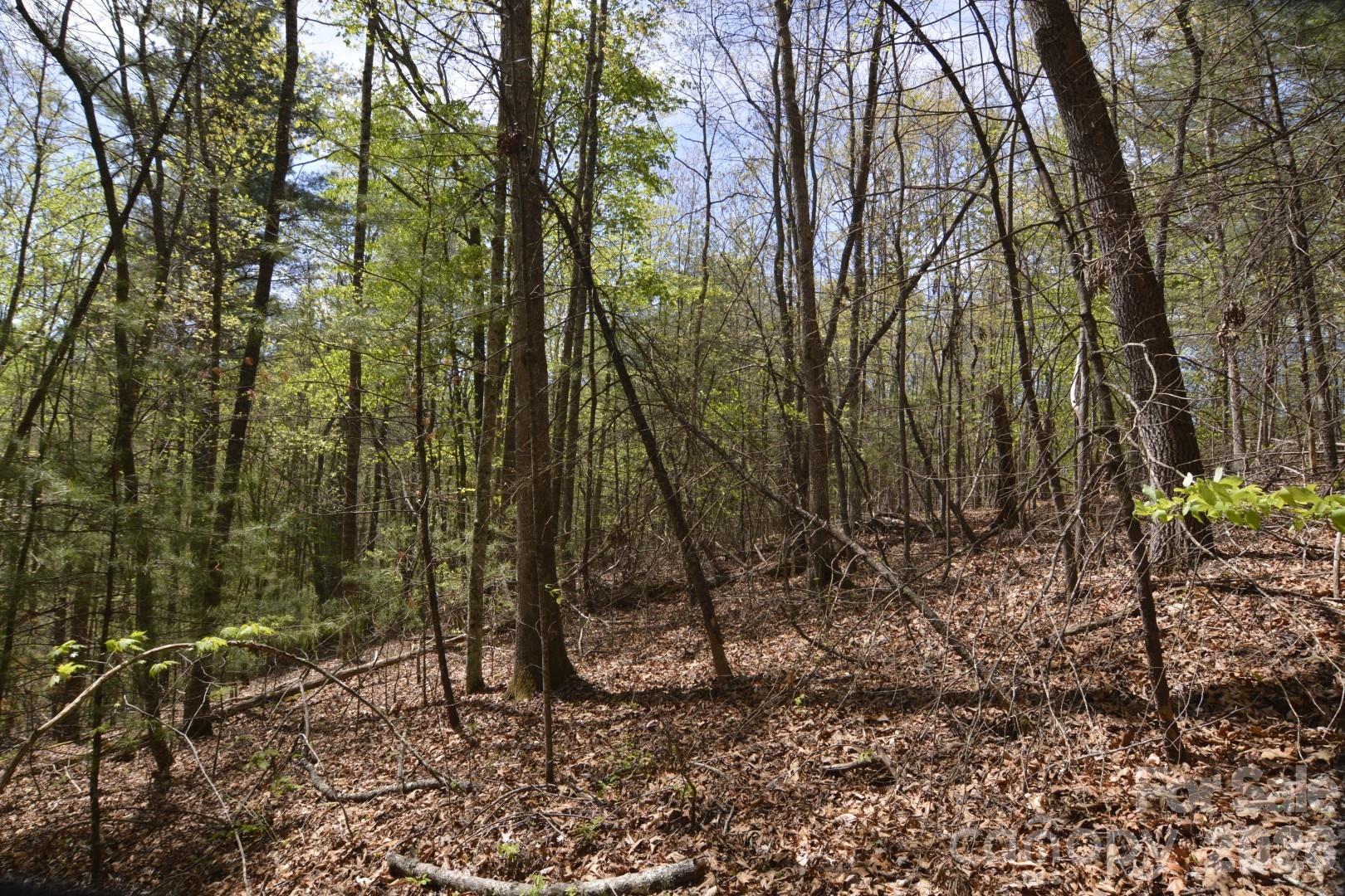 00 Garnet Drive Leicester NC 28748