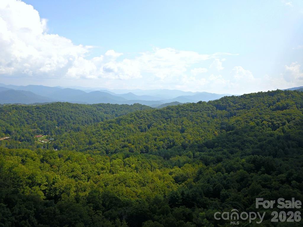 0 Mountain Forest Estates Road Sylva NC 28779