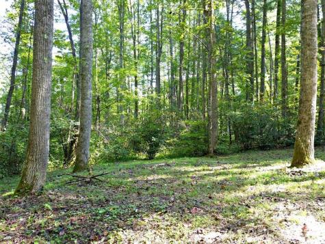 0 Mountain Forest Estates Road Sylva NC 28779